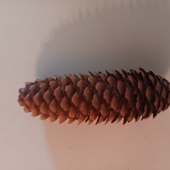 65 Natural Brown Pinecones for Crafts or Decor - Picture 2 of 4